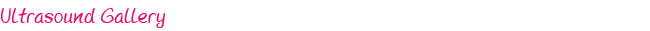 Ultrasound Gallery